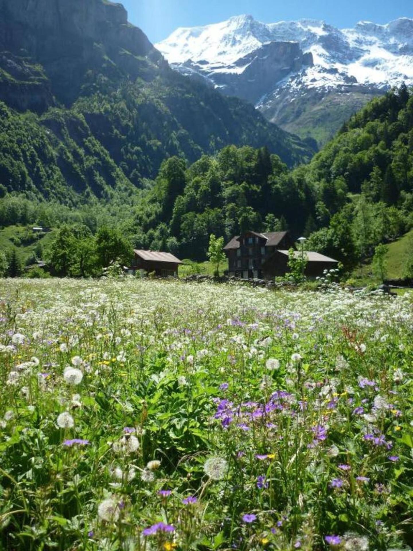Alpenhof Mountain Lodge Stechelberg Kültér fotó